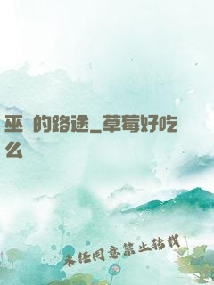 巫師的路途