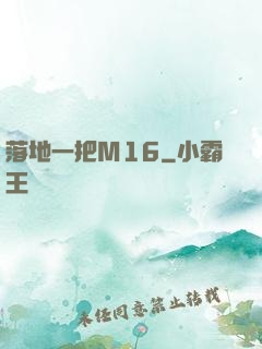 落地一把M16