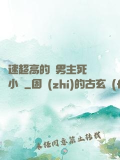車速超高的雙男主死對頭小說