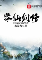 琴仙劍修