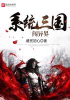 系統(tǒng)三國闖異界